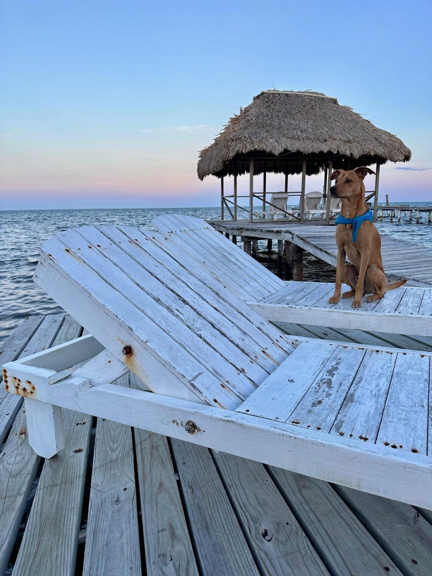 Barefoot Beach Belize Кайе Колкер Екстериор снимка